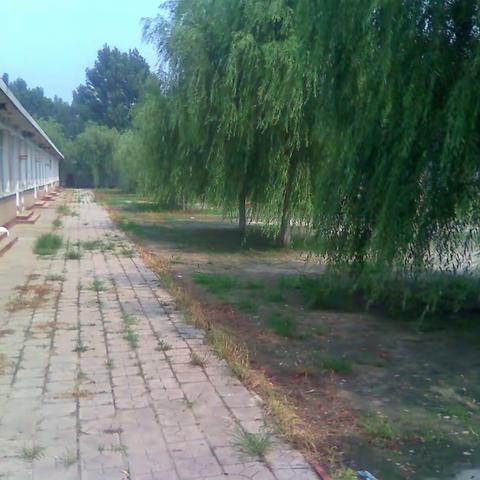 2010年夏 王兰庄中学