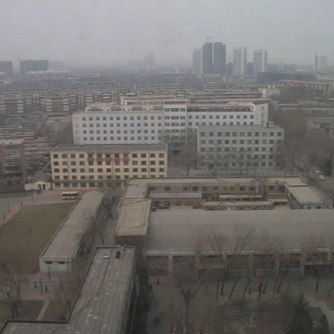 2010 冬日 天津河东