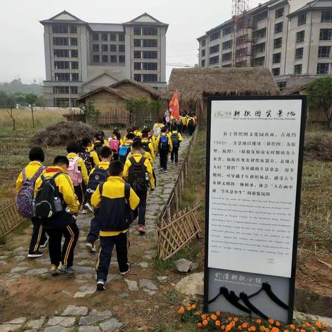 传承耕织文化 留住生活根源——记板桥小学五年级耕织园研学活动