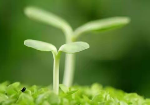 展开展2023年新教师汇报课研讨活动