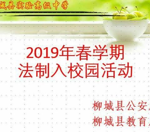 扫黑除恶进校园·普法教育促成长――柳城县实验高级中学开展法制宣传活动