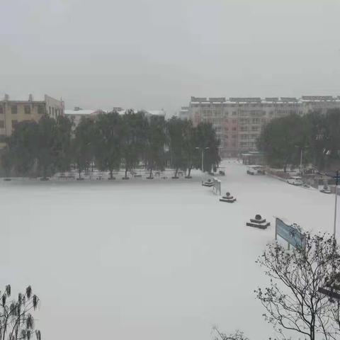 凝心聚力除积雪 众志成城保平安