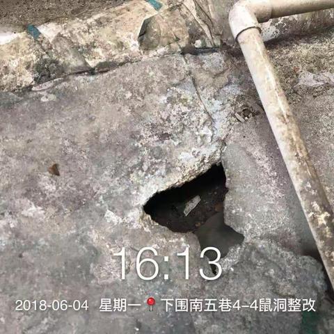 2018.6.5观湖街道城管科对下围南，岗头陈屋围病媒生物防治存在的问题进行了整改。