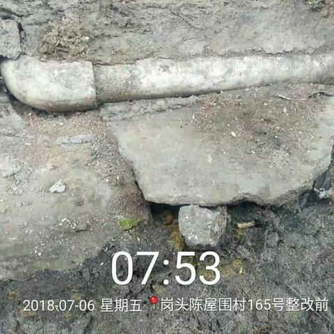 2018.7.6观湖街道城管科对岗头陈屋围，元水村病媒生物防治存在的问题进行了整改。