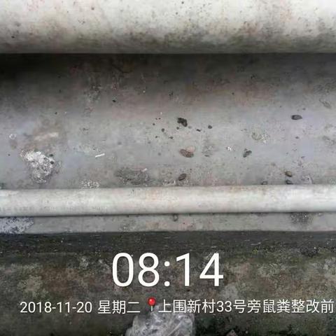 2018.11.20观湖街道城管科对向上围新村病媒生物防治存在的问题进行了整改