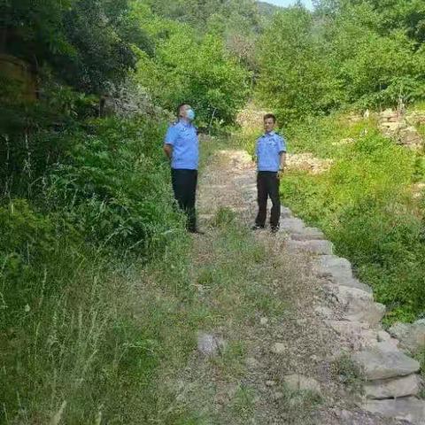 管陶乡关于禁止连翘“抢青”倡议书