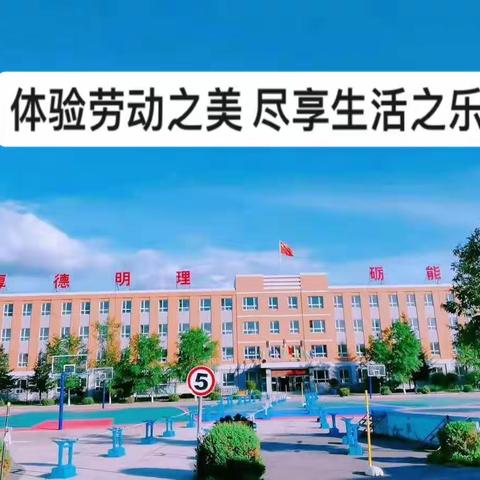 体验劳动之乐，尽享生活之美——记高家店小学劳动实践基地劳动