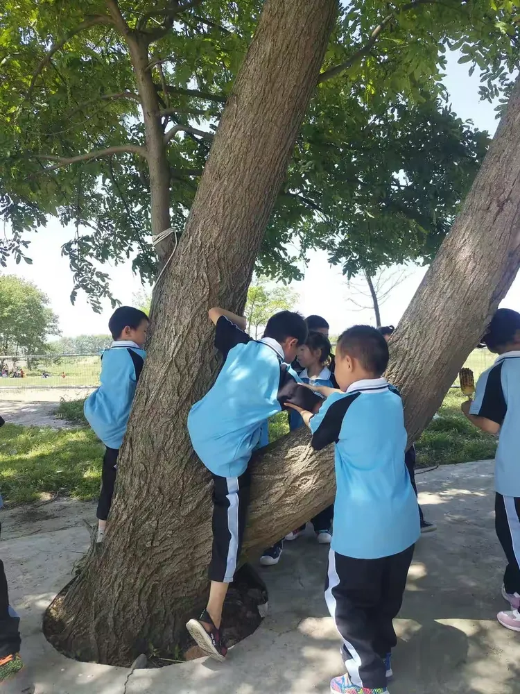 岳阳市经开区梅子柿小学春游活动