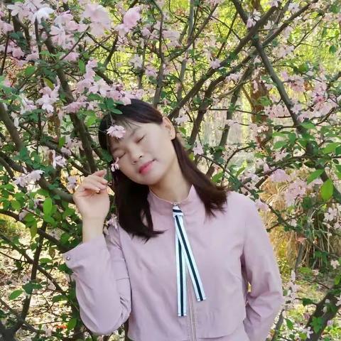 花落的声音