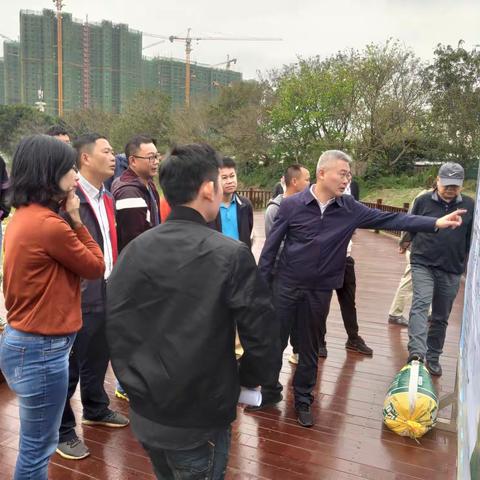 龙华区政府一线推进城镇内河湖水体治理工作