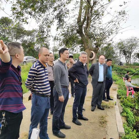 龙华区政府现场调研推动养殖尾水整治工作