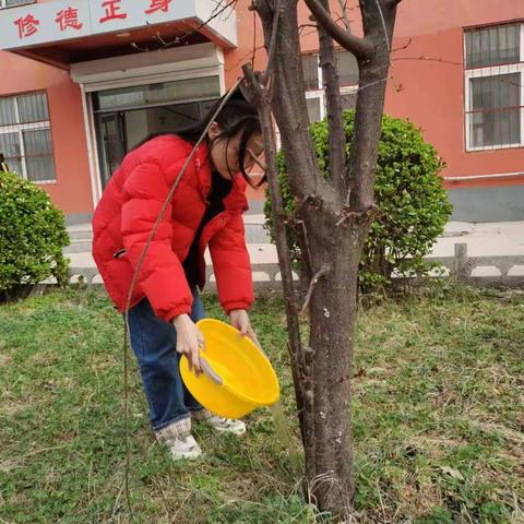 特教学校植树节社会实践活动