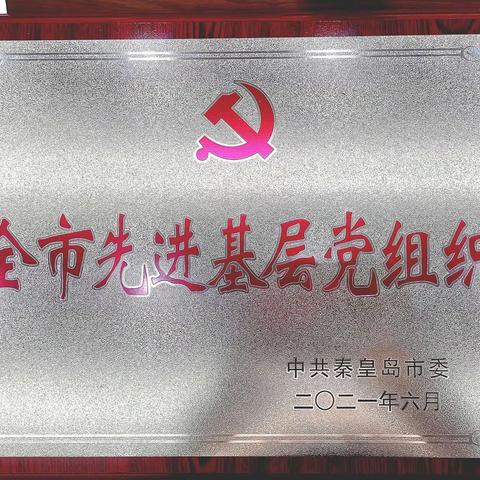 爱先行公益服务中心党支部被授予“先进基层党组织”荣誉称号