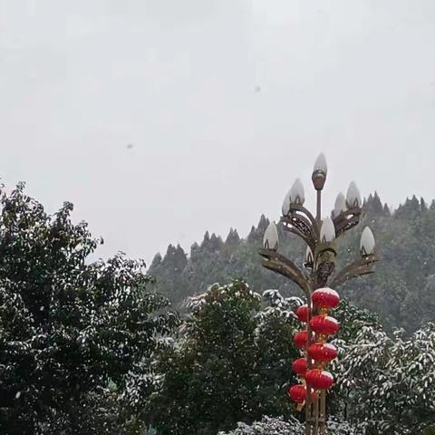 与一场雪的邂逅