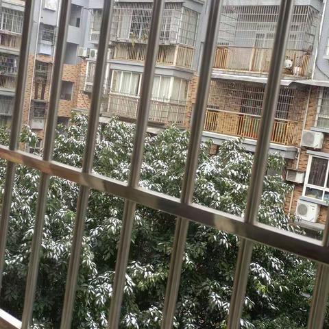 瑞雪兆丰年