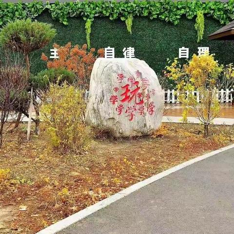 北安小学迎接朝阳区进修学校综合部线上指导