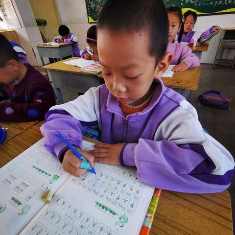 一笔一划写好字，争做“百日练字小达人”