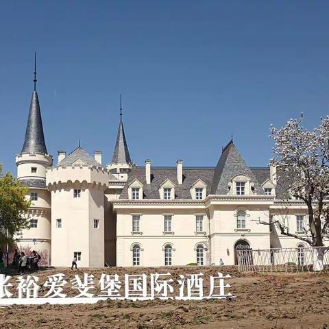 亲爱的宝贝，我们陪你一起成长——春游爱斐堡国际酒庄