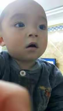 大宝宝  小宝宝的美篇