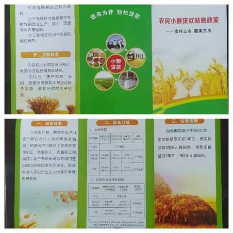 青法村委会入户宣传小额信贷工作