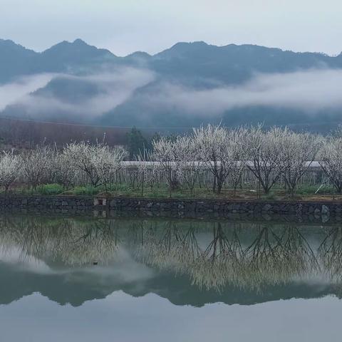 春已暖，花渐开 东山义工在行动