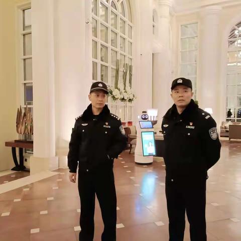 成丰桥派出所开展治安清查行动护航党的十九届六中全会