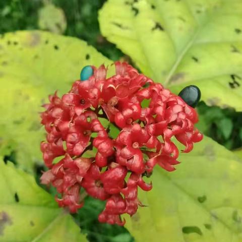 大王带我来巡山，爱上美丽大自然