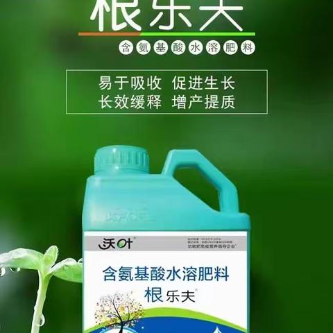 蔬菜苗期救星沃叶根乐夫