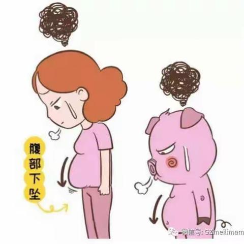 盆底盆底知多少？