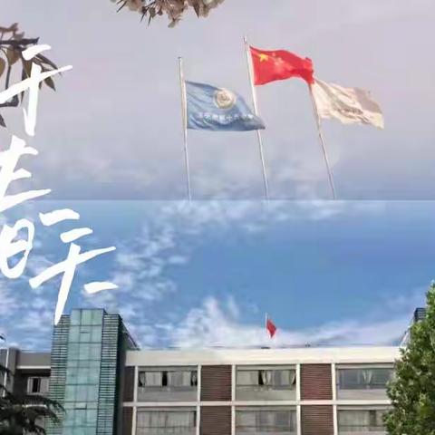 守望云端课堂，吐露教学芬芳——济宁市第十五中学东校区线上教学纪实