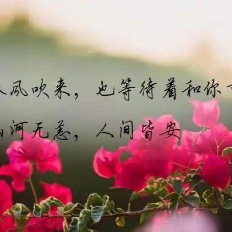 市坞村战“疫”日记（十二）