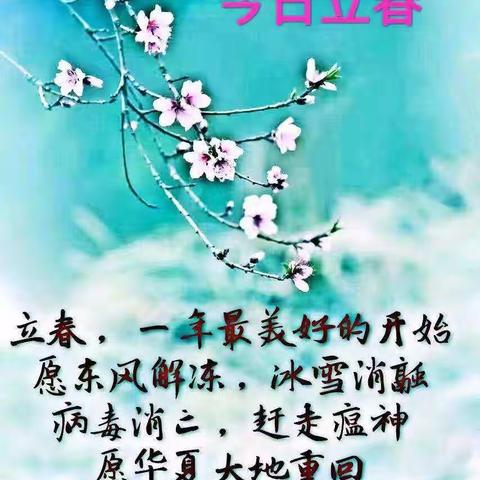 市坞村战“疫”日记（一）