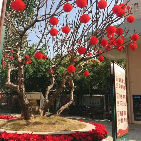 留深迎新春，齐齐共成长