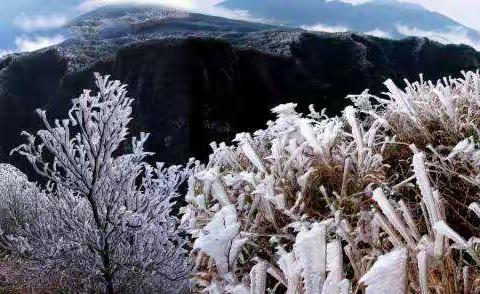 遍地琼瑶大明山