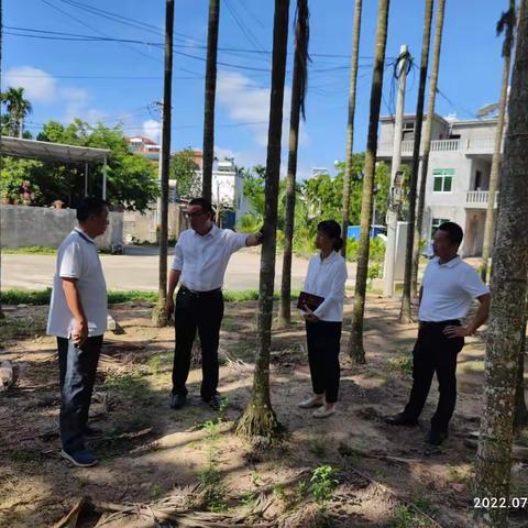 崖州区委书记樊木到美丽乡村白超队实地调研