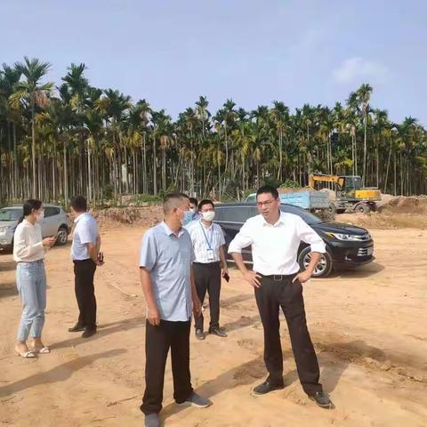 崖州区委书记樊木到美丽乡村白超队项目现场调研