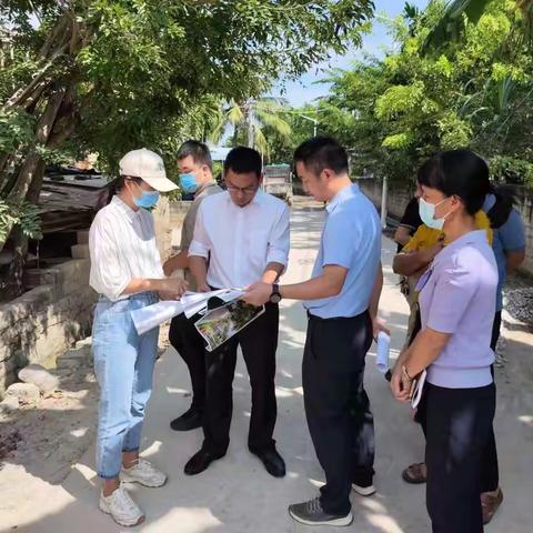 崖州区委书记樊木调研白超队美丽乡村建设工作