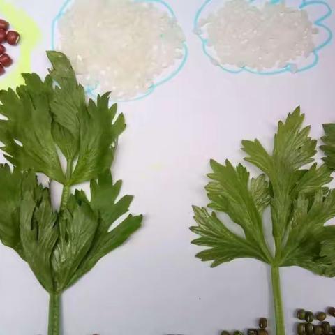 巧用身边小物品表现美