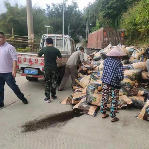 通什镇太平村合理利用经费，为民办实事