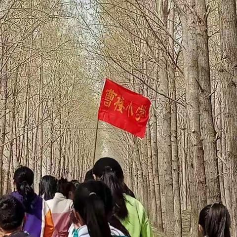 曹楼小学全体教师和学生去春游。4月1日全体师生迎着春风，来到大自然去感受春天的气息，我们出发啦…