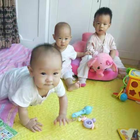 宝贝女儿们和她们的晨晨姐姐