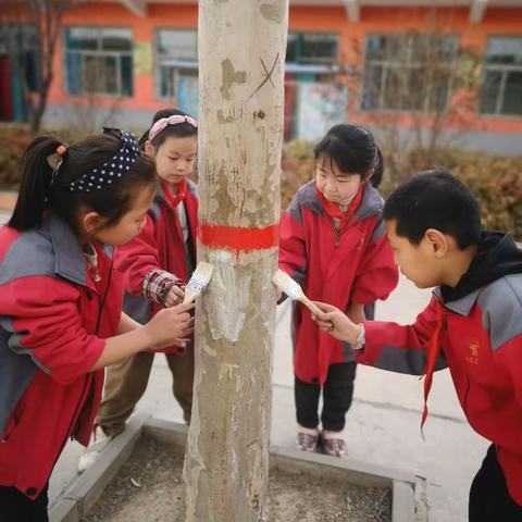 潞州区张庄小学植树节主题活动——“我给大树穿新衣”