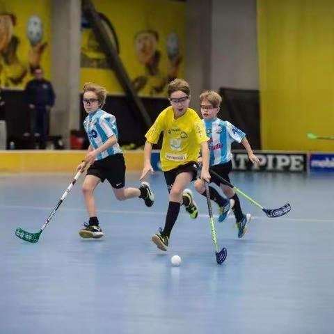 芳草旱地冰球社团