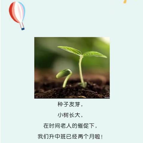 【班级动态】嘿，我们升班了！——小班升中班系列活动