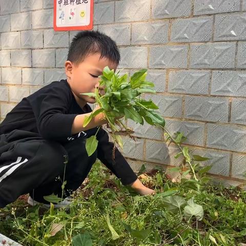 高楼村幼儿园中班一对一倾听-徐挚金