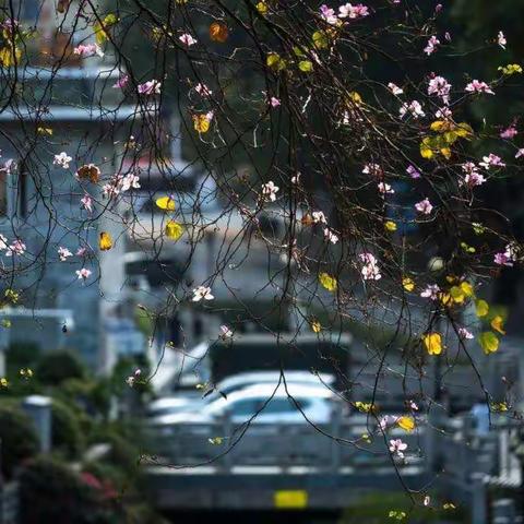 【高新教育】阳光下，绽放精彩（第149期）