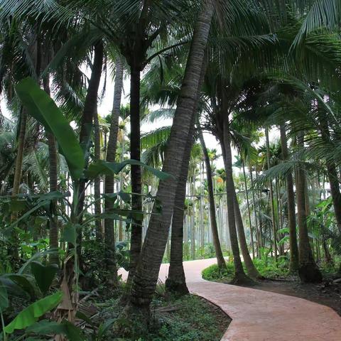 19.《蔚蓝南海》之《乡野仙踪》-淘游心飞