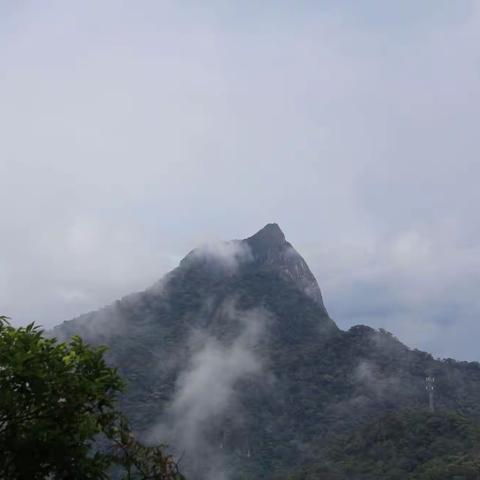 13.《蔚蓝南海》之《登高尖峰岭》-淘游心飞