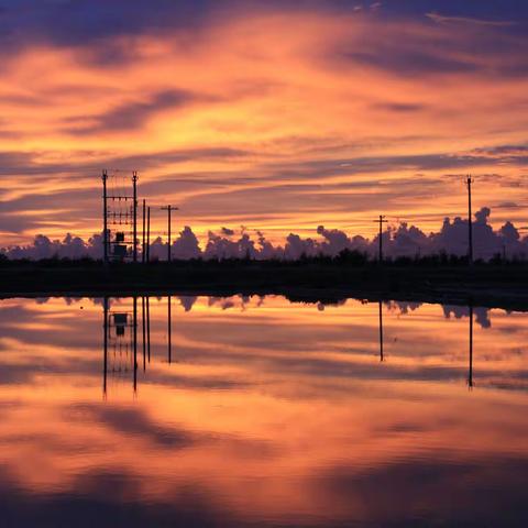 14.《蔚蓝南海》之《盐田万顷莺歌海，烧干那水变银山》-淘游心飞