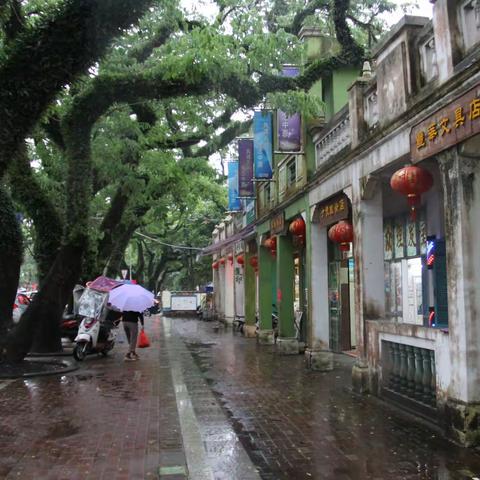 18.《蔚蓝南海》之《琼海听风》-淘游心飞